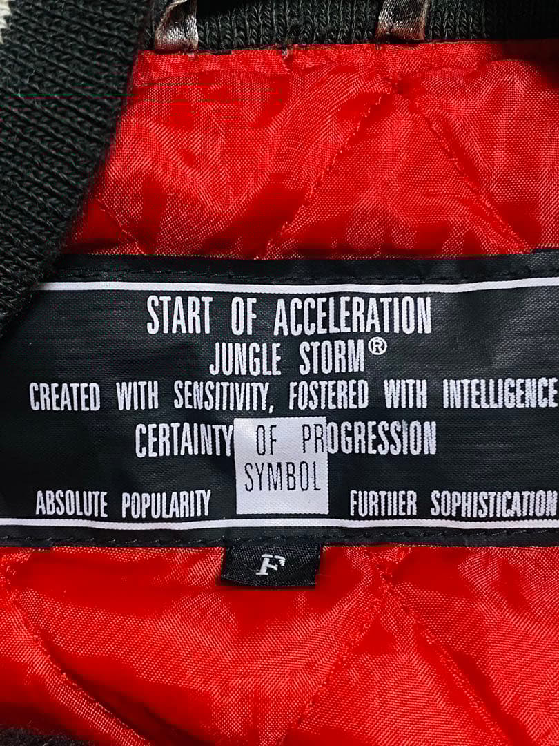 90s 龍 JUNGLE STORM 日本限定 スカジャン unisex サテン