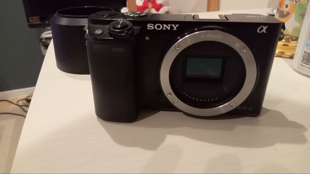 SONY α6000 ダブルズームレンズキット
