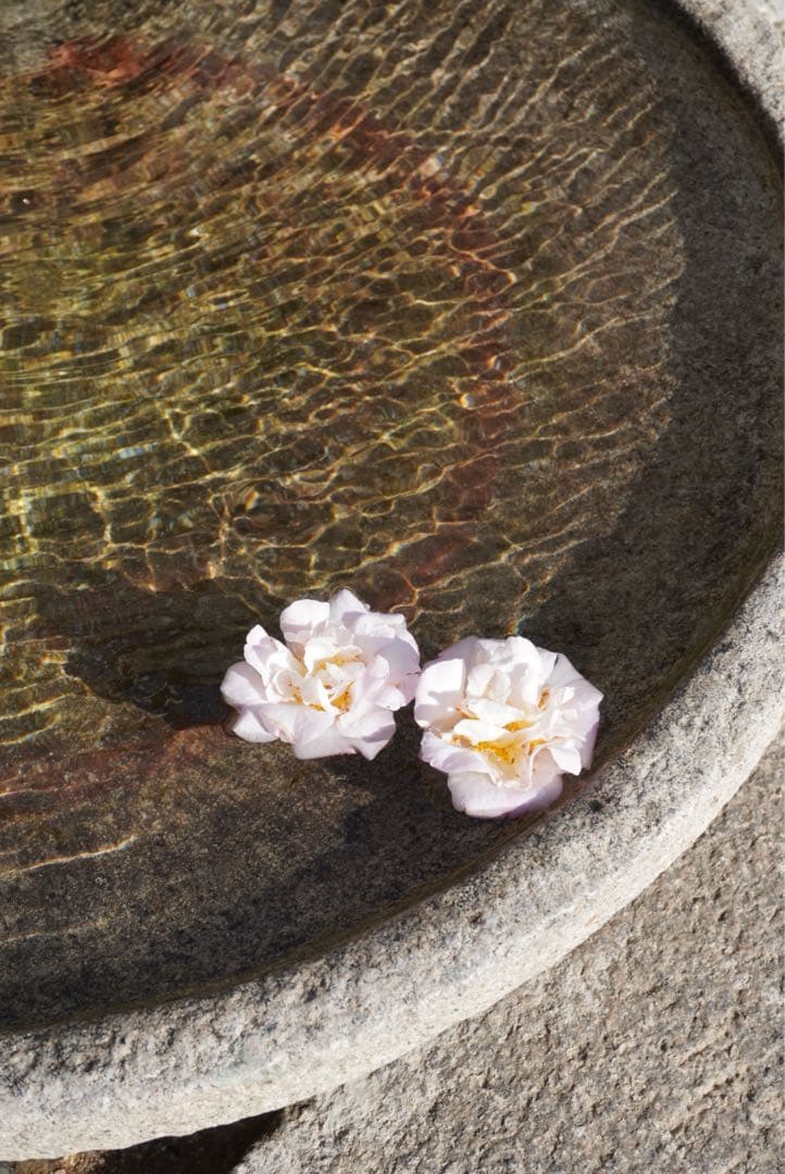 【美品】VLOGCAMZV-E10Lパワーズームレンズキットミラーレス一眼カメラ