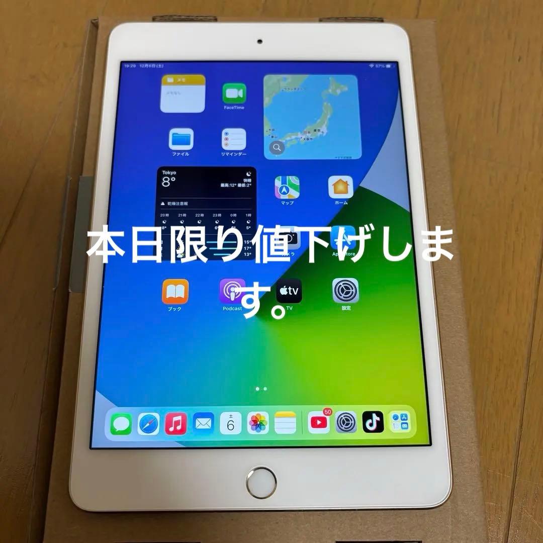 iPad mini第４世代wi-fi128GBバッテリー89.9%背面傷あり