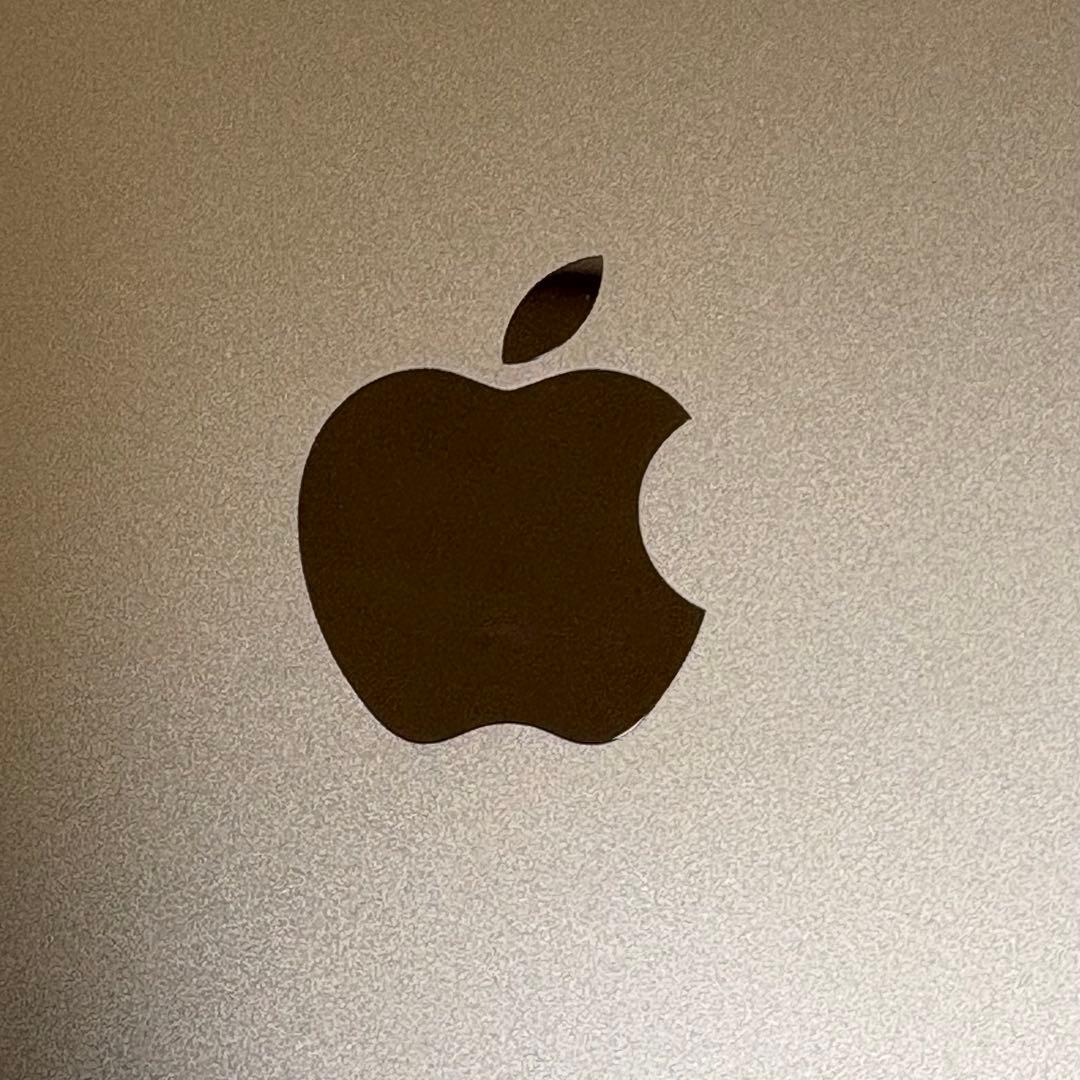 iPad mini第４世代wi-fi128GBバッテリー89.9%背面傷あり