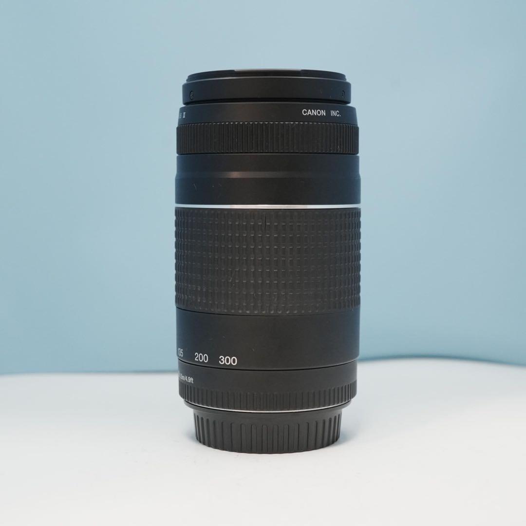 Canon純正 75-300mm 望遠レンズ 美品 a4687