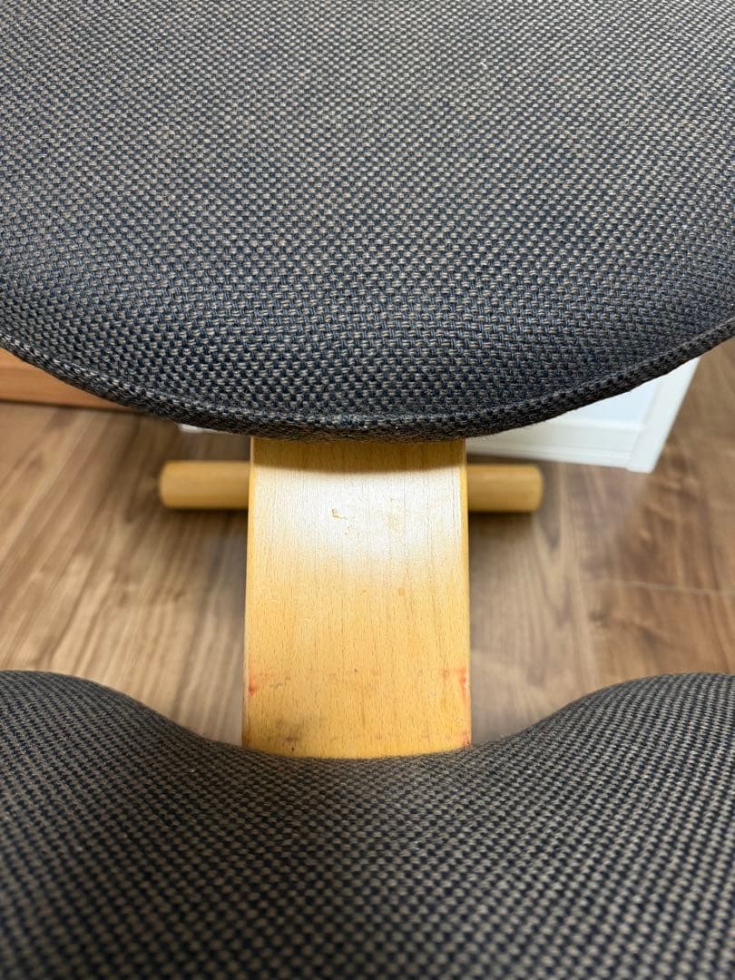 バランスチェア•イージー（黒）＋専用カバー（赤）