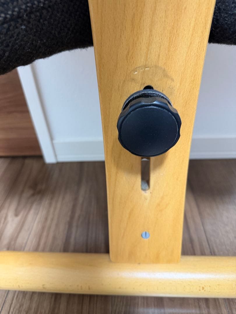 バランスチェア•イージー（黒）＋専用カバー（赤）