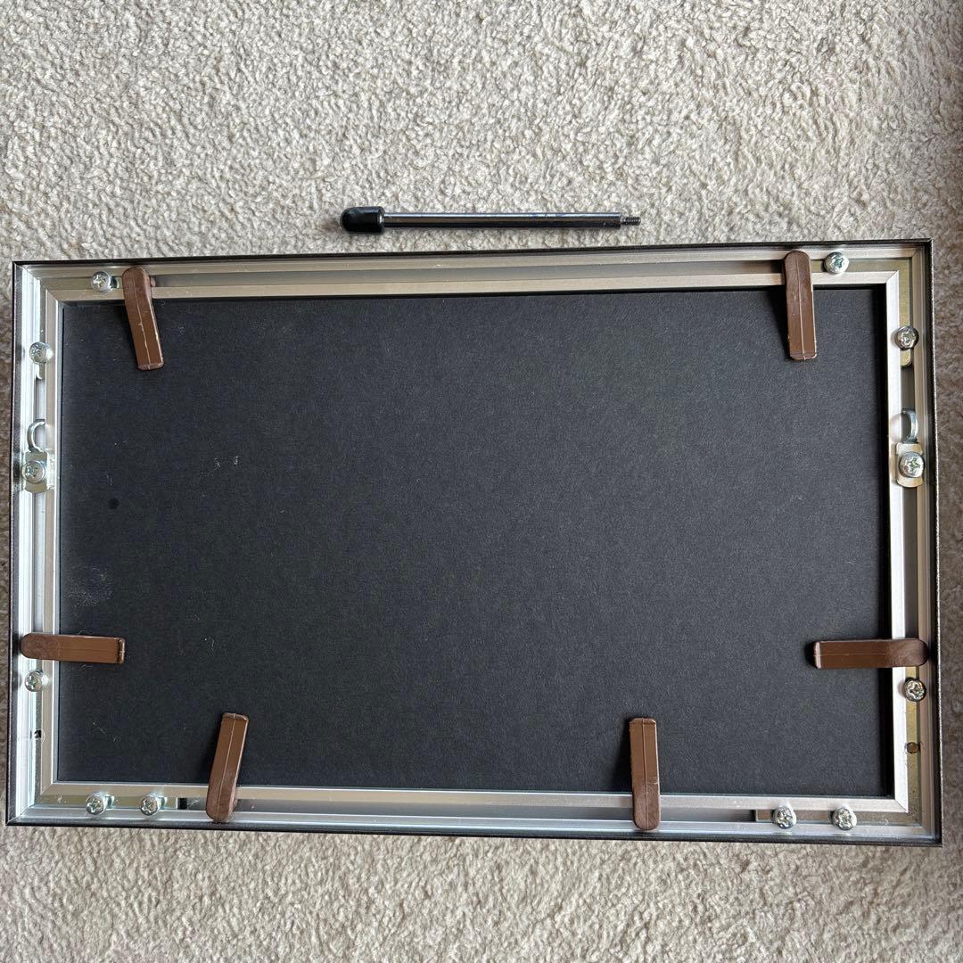 【非売品】Nikon100周年記念カメラモデルバッジ