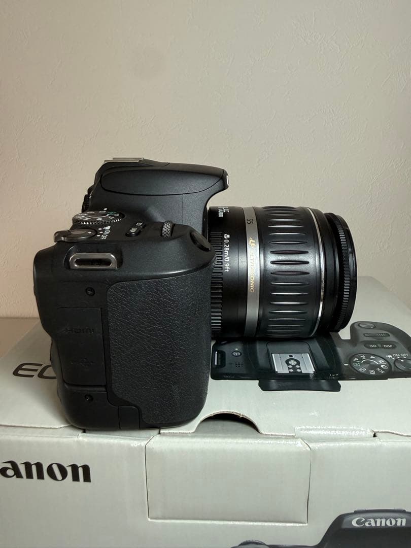 Canon EOS Kiss X9標準ズーム/望遠ズーム2本/計3本レンズセット