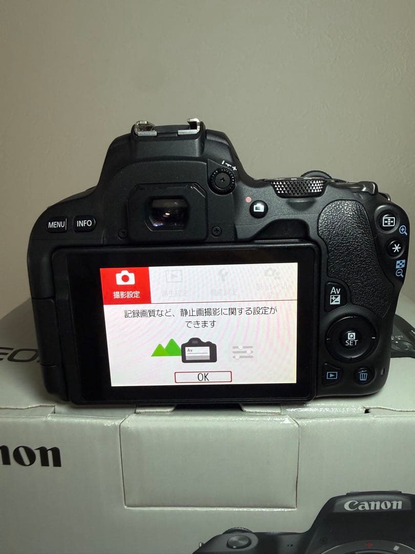 Canon EOS Kiss X9標準ズーム/望遠ズーム2本/計3本レンズセット