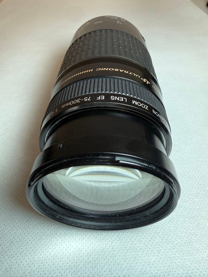 Canon EOS Kiss X9標準ズーム/望遠ズーム2本/計3本レンズセット