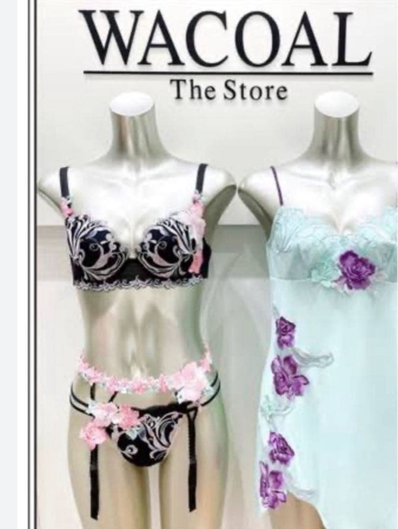 ワコール/サルート 66グループ 新品タグ付 P-upブラソング G65 BL