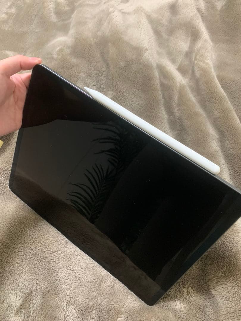 Apple iPad pro 第3世代 ペン+ペン先2個付き