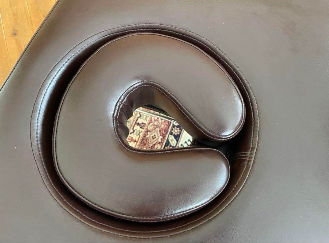 リクライニングベッドEX 電動昇降 オメガ式