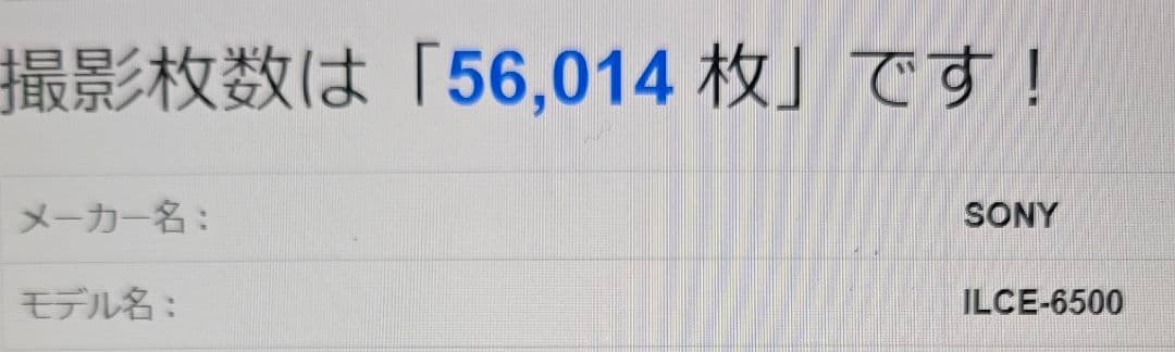 SONY α6500 ILCE-6500 ボディ ソニー ミラーレス一眼 おまけ