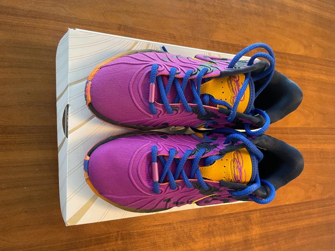 レブロン 21 SE　22cm