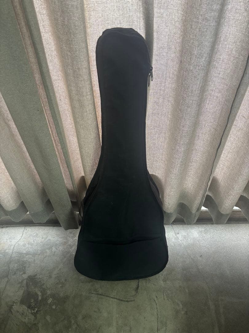 【美品‼️ケース付】Sepia Crue FG-10N アコースティックギター