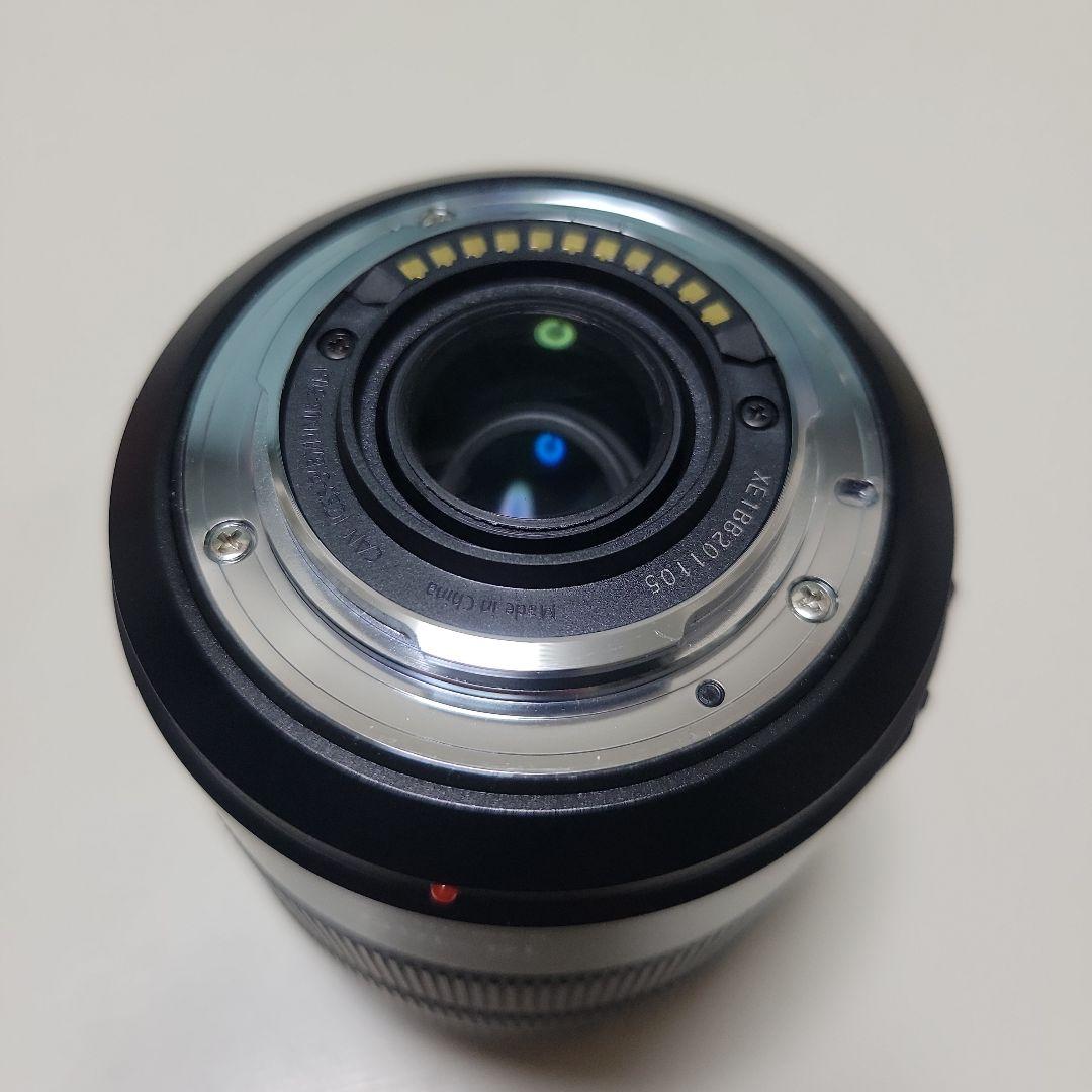 レンズ(ズーム) Panasonic LUMIX G VARIO 14-140mm II