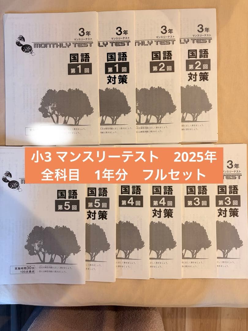 早稲田アカデミー　ワセアカ　マンスリーテスト　小3 1年分セット　原本
