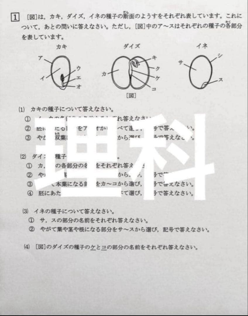 浜学園　小5 2024年度　3科目　Vクラス　復習テスト 国語、算数、理科、