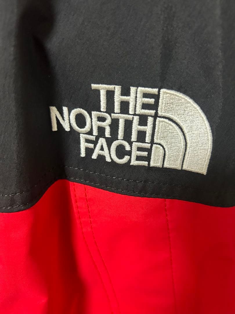 THE NORTH FACE GORE-TEXマウンテンパーカー L