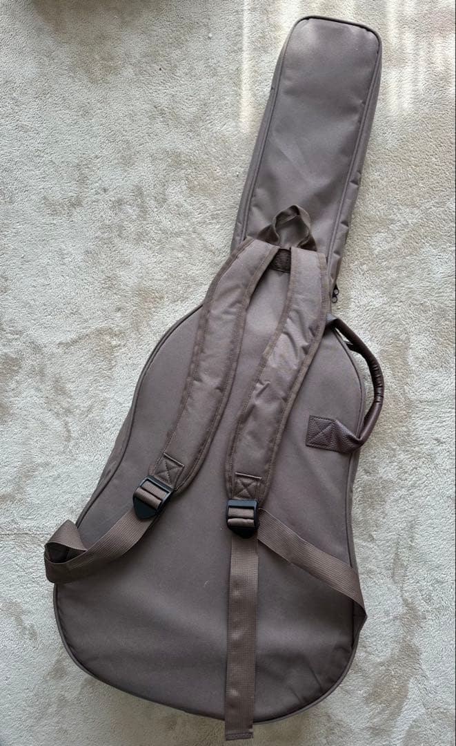 Gopher Wood Guitars i100 アコースティックギター