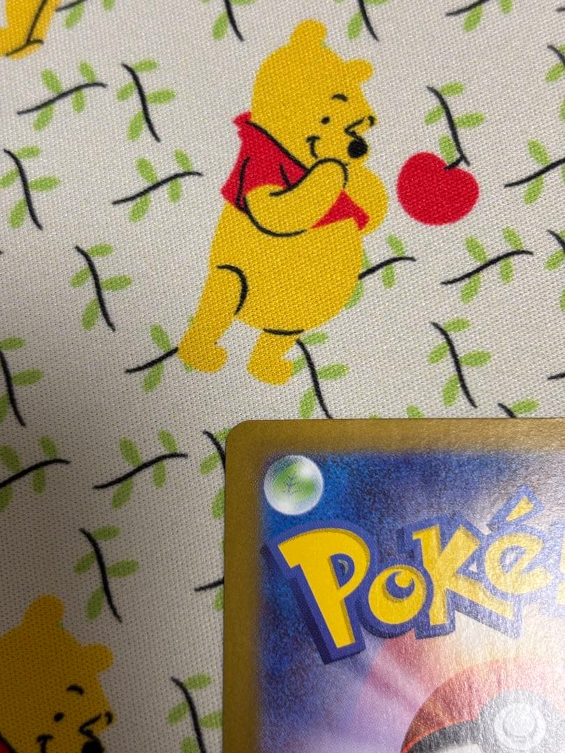 リーリエの決心 091/063 SAR