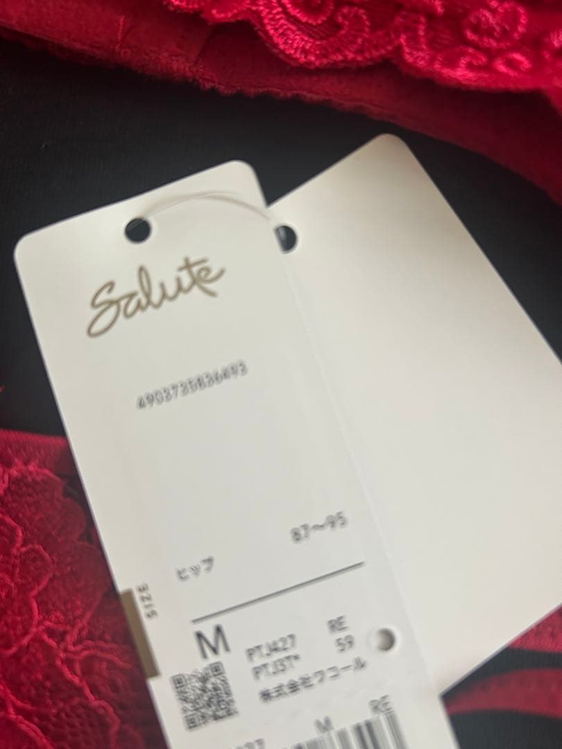 サルート　VIVA LINE ブラジャーショーツセット