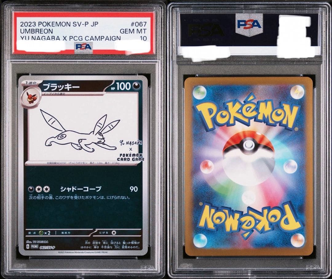 PSA10 ブラッキー: プロモ (ナガバブラッキー) [SV-P 067]