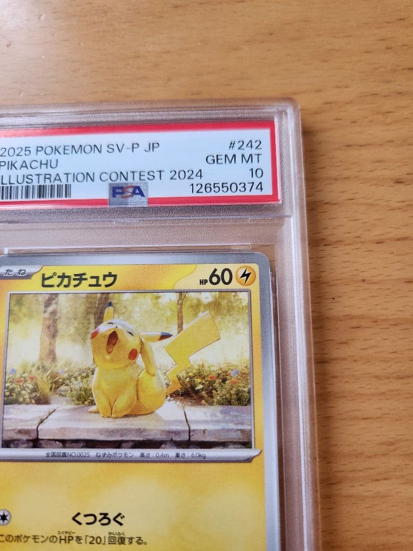 PSA10 ピカチュウ イラストレーション コンテスト プロモ 2024