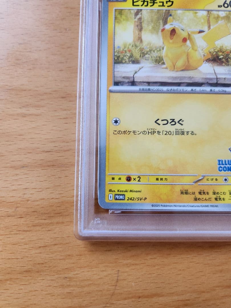 PSA10 ピカチュウ イラストレーション コンテスト プロモ 2024