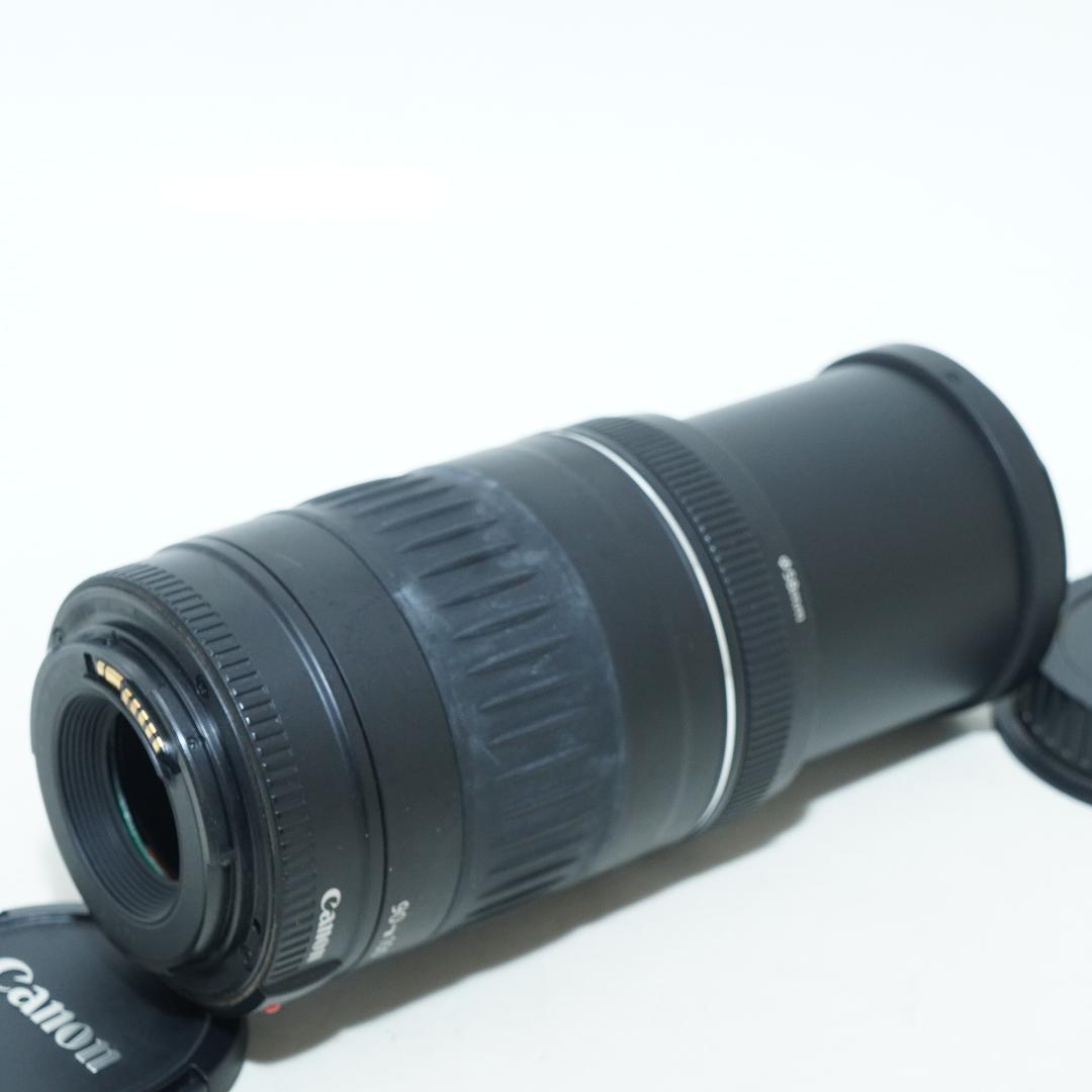 超望遠レンズで狙い撃ち★キャノン★EF 90-300mm 4.5-5.6