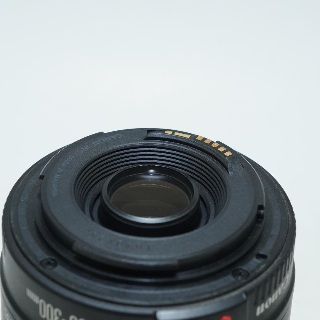 超望遠レンズで狙い撃ち★キャノン★EF 90-300mm 4.5-5.6