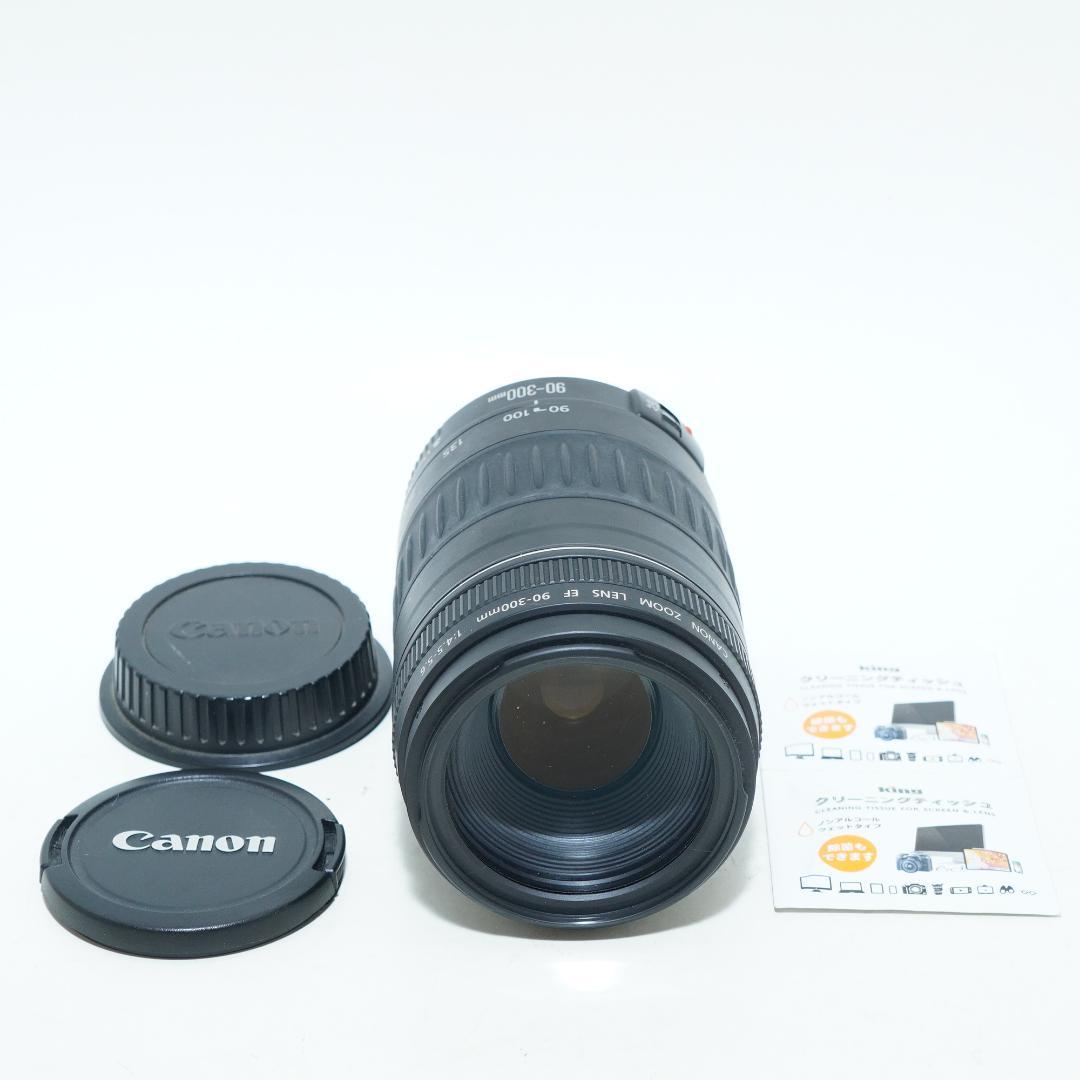 超望遠レンズで狙い撃ち★キャノン★EF 90-300mm 4.5-5.6