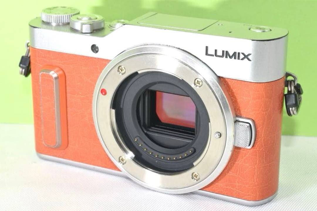 Panasonic DC-GF10 ☆送料無料☆