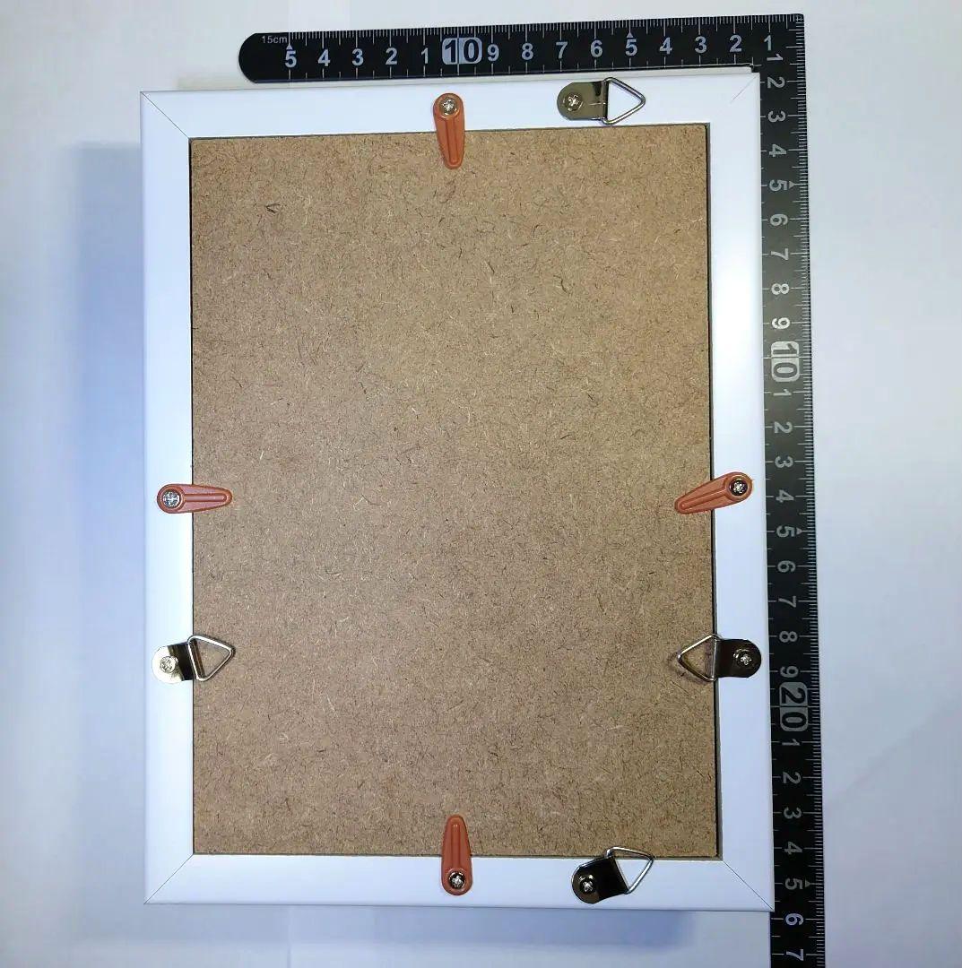 隕石絵画　アルタイ隕石 アート標本　鉄隕石 【検索ワード ギベオン イミラック】