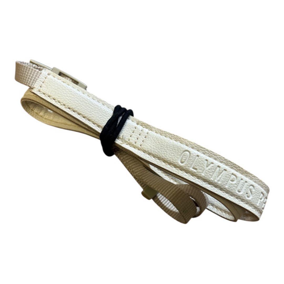 OLYMPUS PEN E-PL8 本体　ミラーレス