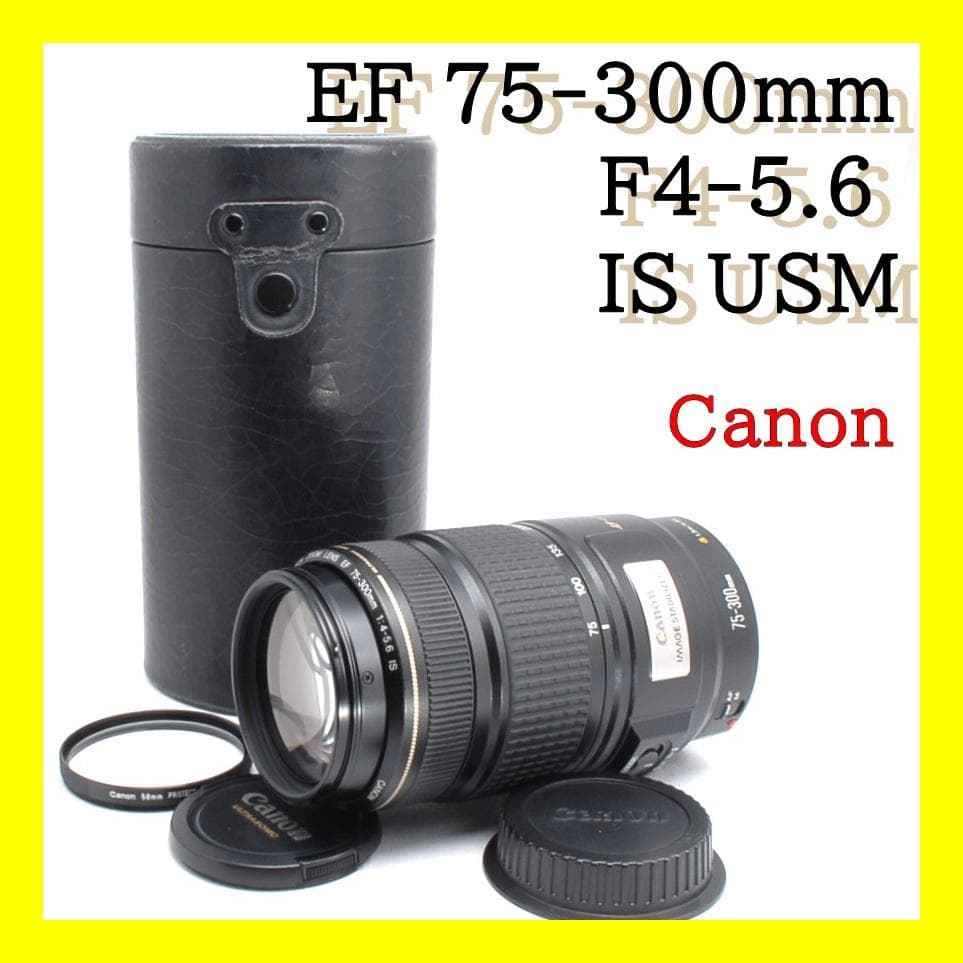 ★超望遠★Canon EF 75-300mm IS USM★美品★フルサイズでも