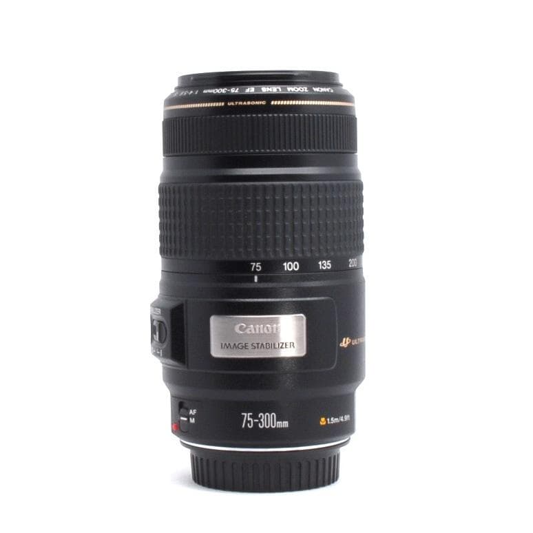 ★超望遠★Canon EF 75-300mm IS USM★美品★フルサイズでも