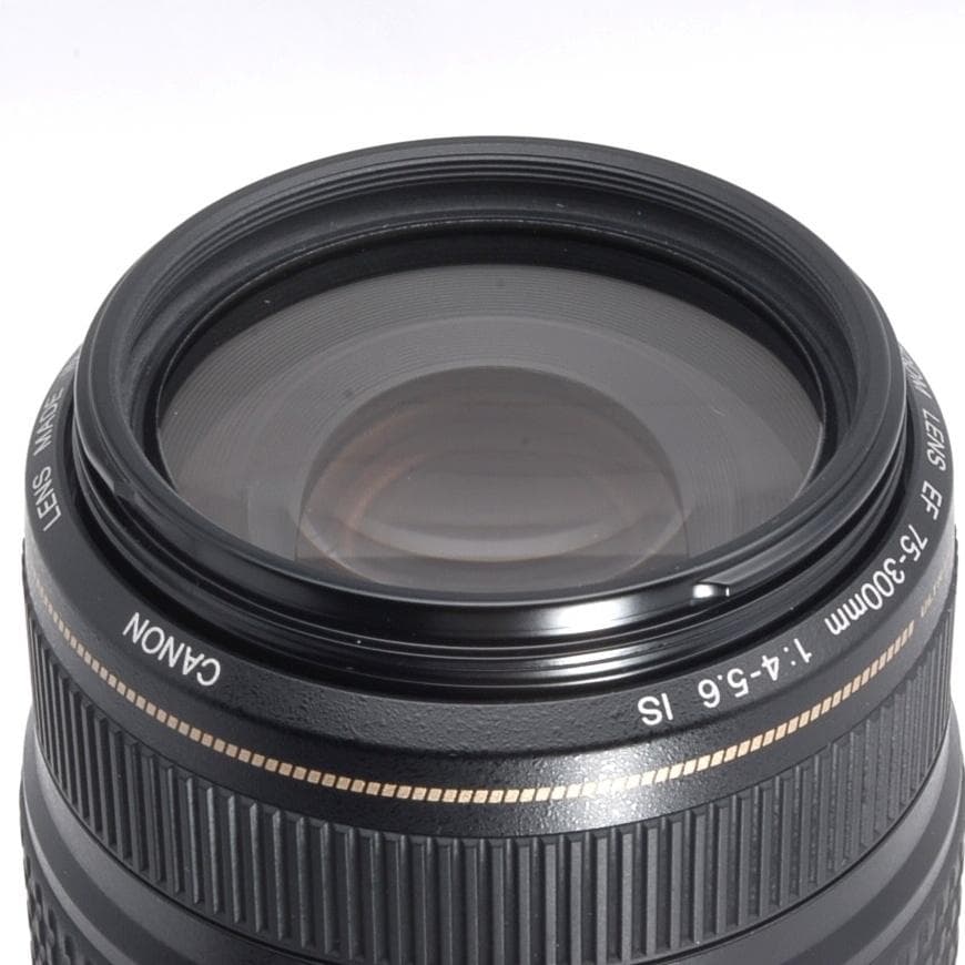 ★超望遠★Canon EF 75-300mm IS USM★美品★フルサイズでも