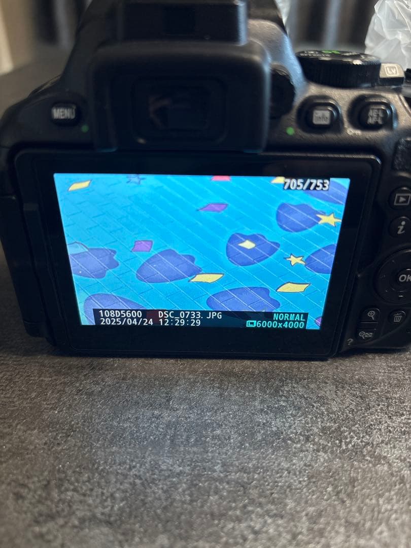 Nikon D5600 ダブルズームキット