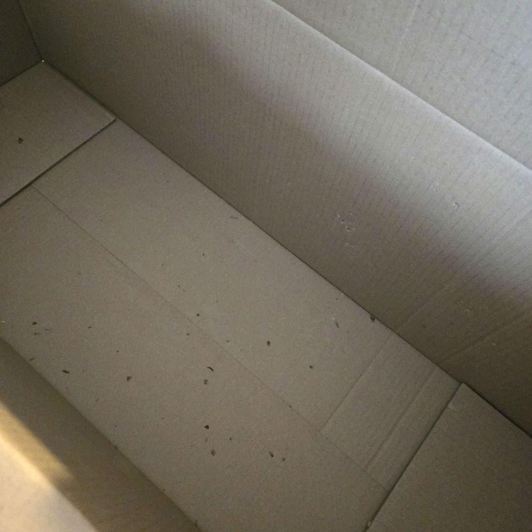 【公式】アルザスツリー　120cm クリスマスツリー　2025年11月購入