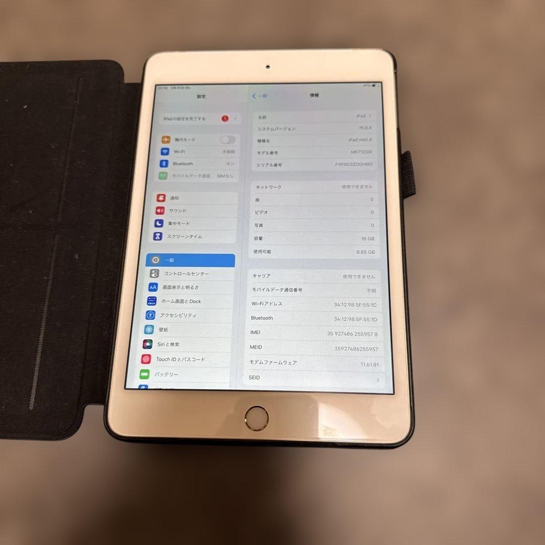 美品バッテリー良好　iPad mini4 第4世代 ゴールド cellular
