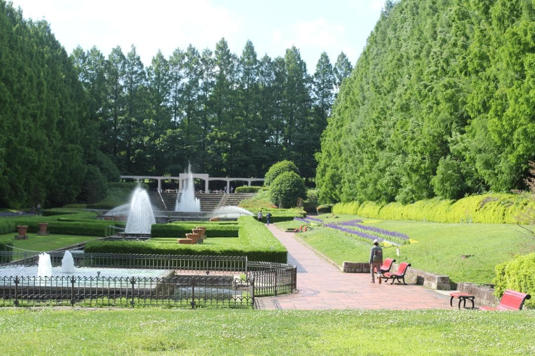 Canon EF50mm f1.4 USMレンズ 良品　(ref# 4136)