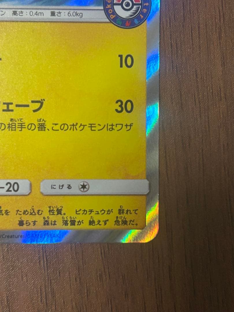 海で遊ぶピカチュウ：My251ポケモンセンター真夏のピカピカ大作戦キャンペーン…