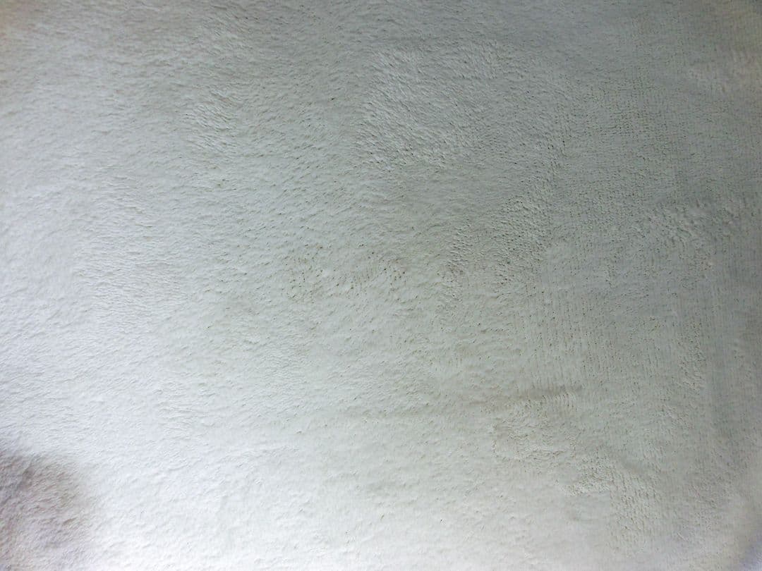 美品完動 元箱 専用ケース付 Panasonic LUMI DMC FX 77