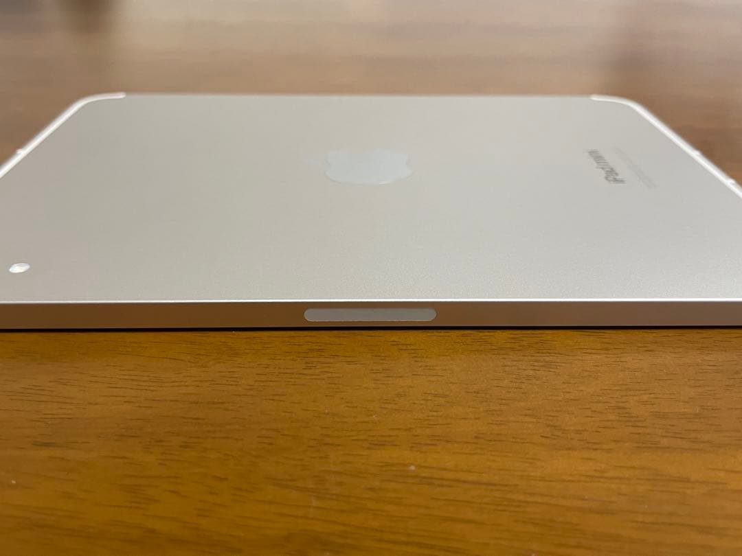 iPad mini 第7世代 Wi-Fi+セルラーモデル pencil Pro付