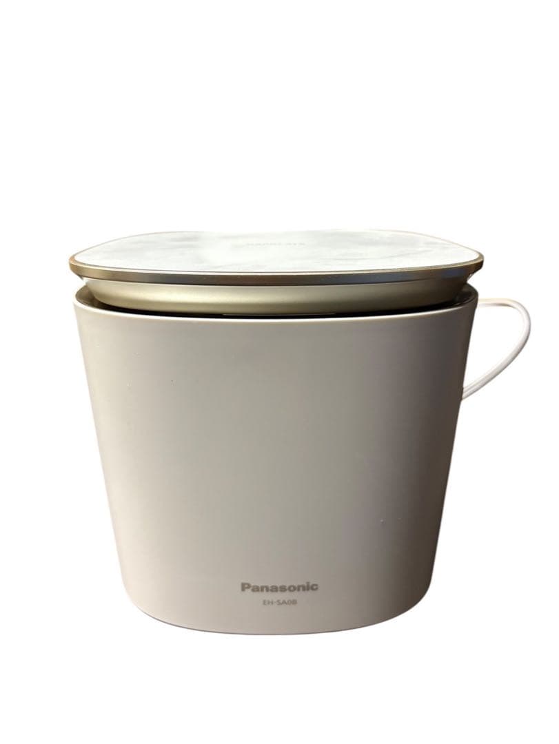 Panasonic EH-SA0Bスチーマーナノケア