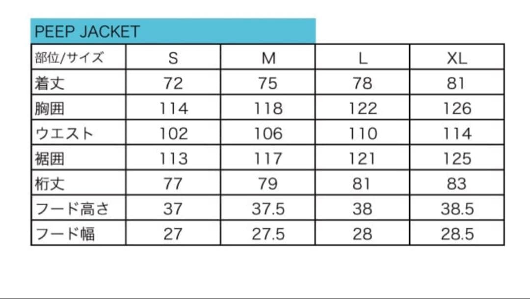 アンファッジ　PEEP JKT サイズL スノーボード　UNFUDGE