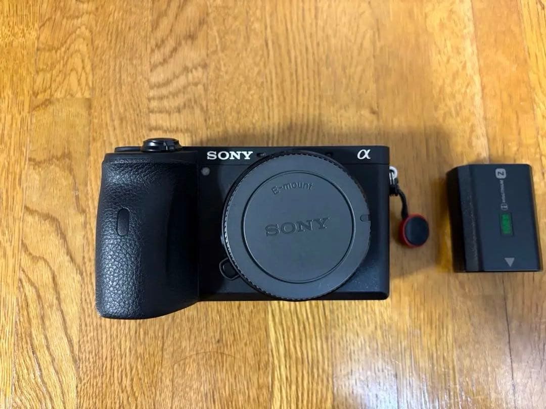 SONY α6600 カメラ本体