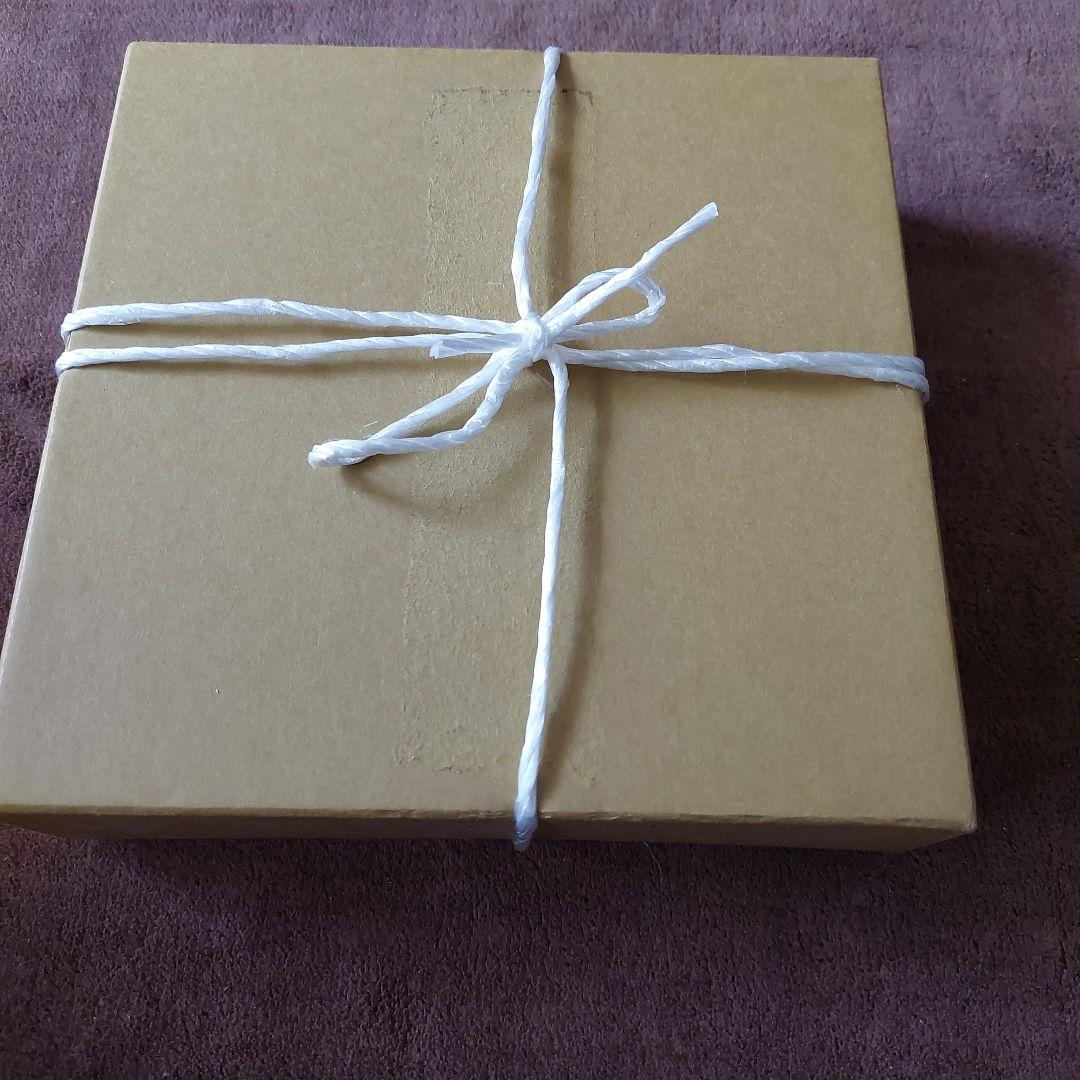 古代魚　化石　アメリカで購入