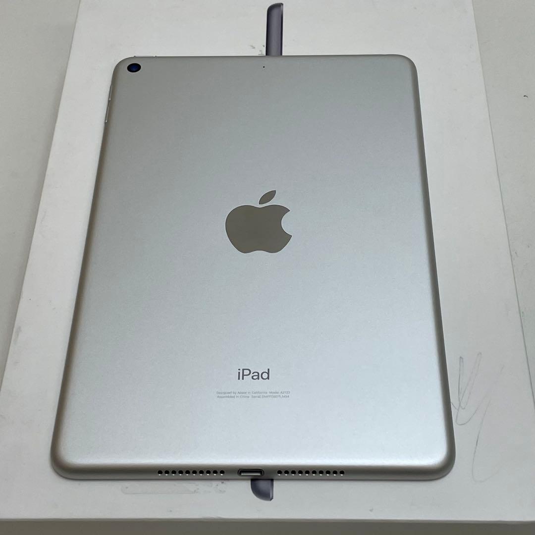 iPad Mini 第5世代 64GB Wi-Fi 100%