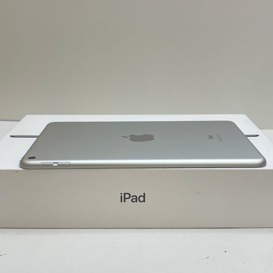 iPad Mini 第5世代 64GB Wi-Fi 100%